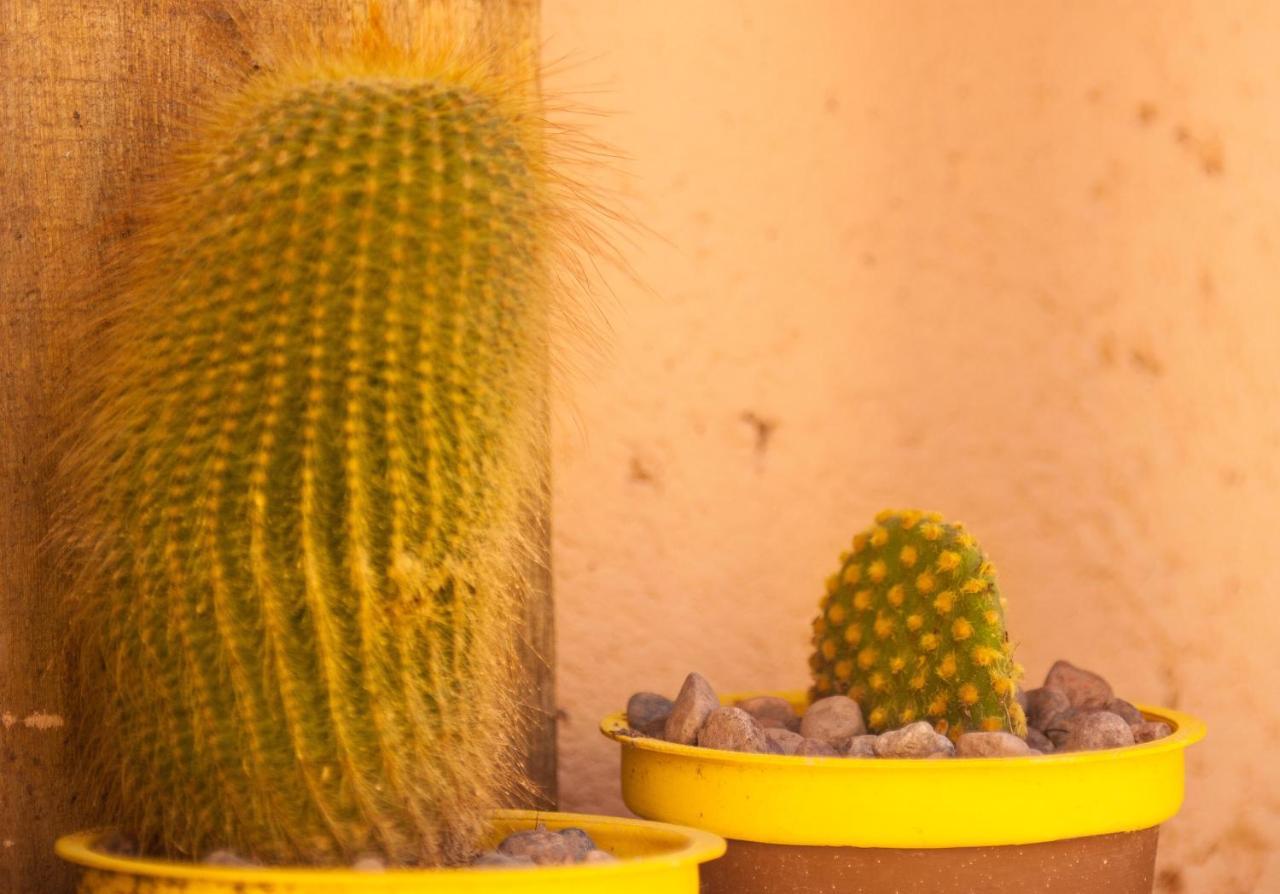 Casona Aventurados Villa Lujan de Cuyo Kültér fotó